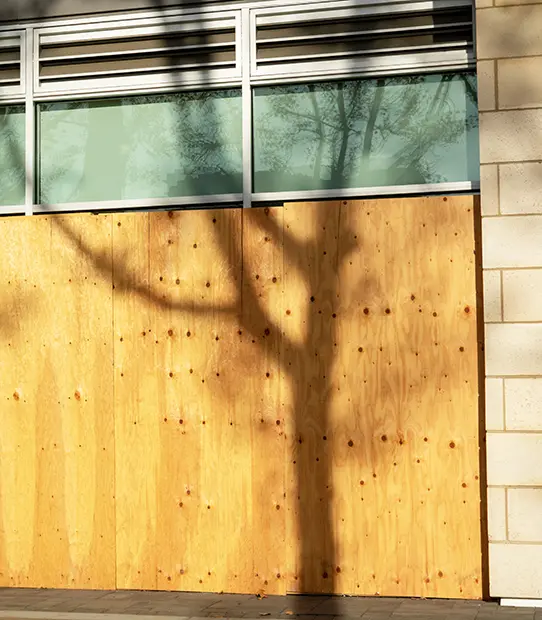emergency board window replacement