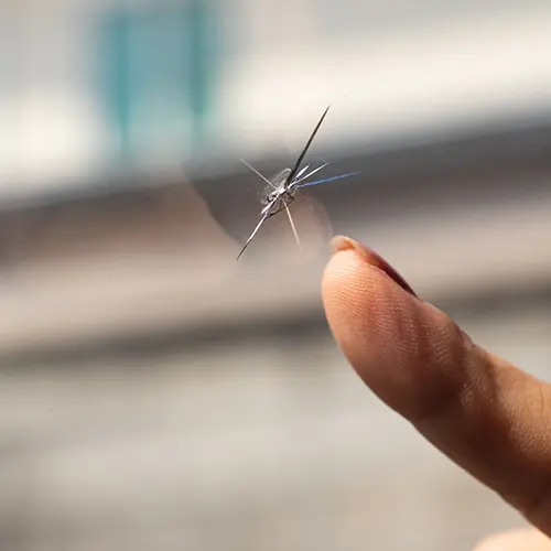 windshield recalibration service Belleville IL